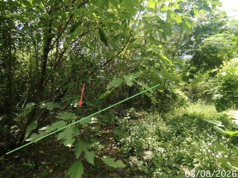 รูป ที่ดินว่างเปล่า 850 ตร.วา บ้านยุพนัย แก่งคอย สระบุรี 2.2M - รูปที่ 18/21