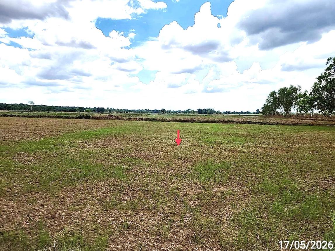 picture LAND 1522.1 Sq.w. Kosum Phisai Maha Sarakham for 419,000 - 17/25