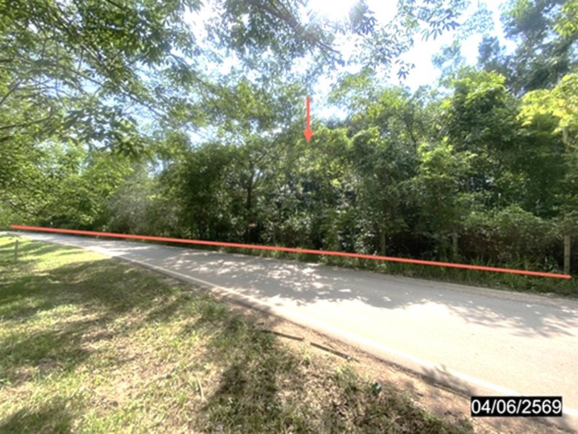 รูป ที่ดินว่างเปล่า 12418 ตร.วา เมืองบึงกาฬ บึงกาฬ 11M - รูปที่ 9/19