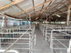 listing thumbnail image 54
