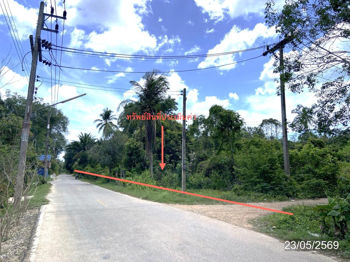 picture HOME 6467.9 Sq.w. Thepha Songkhla for 4.6M - 31/35