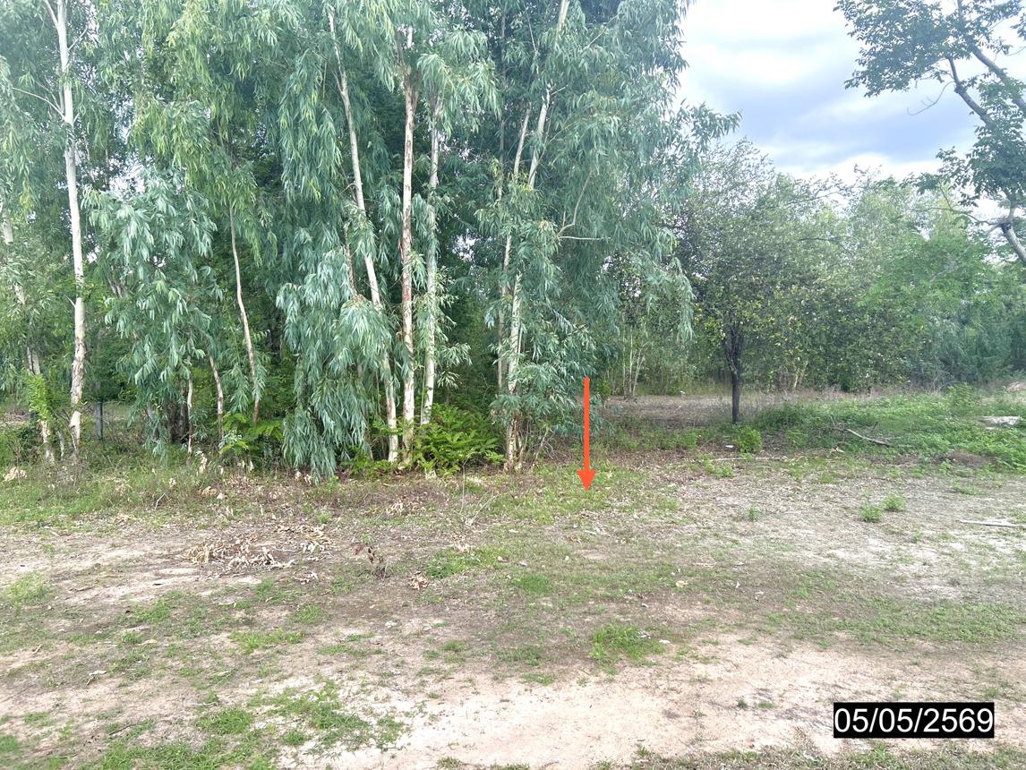 รูป ที่ดินว่างเปล่า 560.5 ตร.วา กุฉินารายณ์ กาฬสินธุ์ 749,000 - รูปที่ 9/15