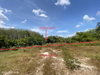 listing thumbnail image 33