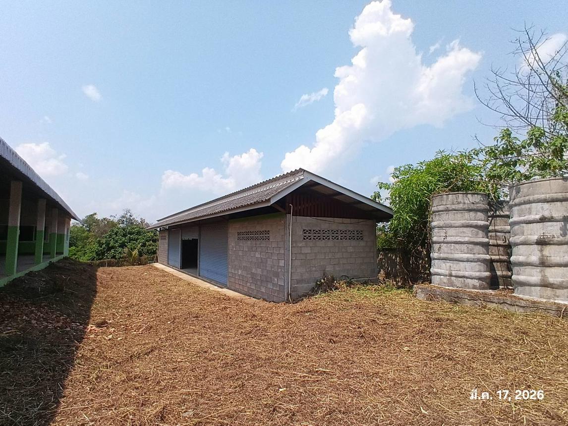 รูป โกดัง 860 ตร.วา ลี้ ลำพูน 4.9M - รูปที่ 24/43