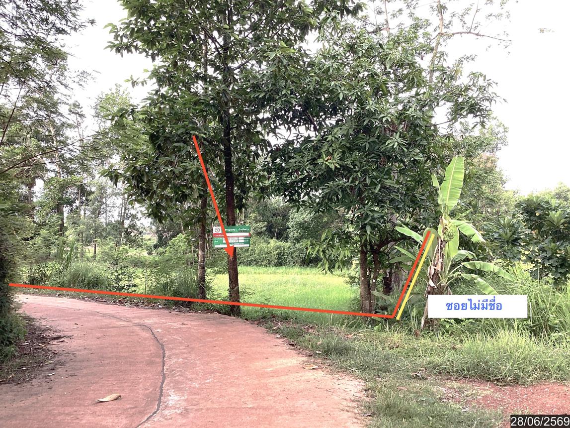 picture LAND 1358 Sq.w. Phanna Nikhom Sakon Nakhon for 1.1M - 11/21