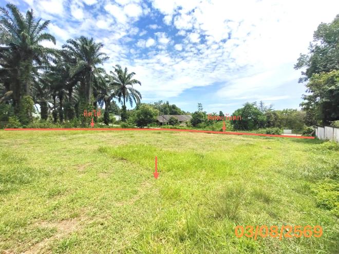 picture LAND 235.5 Sq.w. Nua Khlong Krabi for 2.6M - 7/17