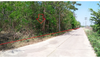 listing thumbnail image 4