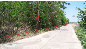 picture PROPERTY 21178 Sq.w. Watthana Nakhon Srakaeo for 81.5M - 5/20