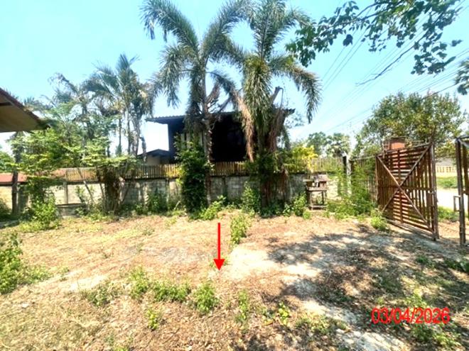 picture HOME 347 Sq.w. Hang Chat Lamphang for 1.2M - 15/35