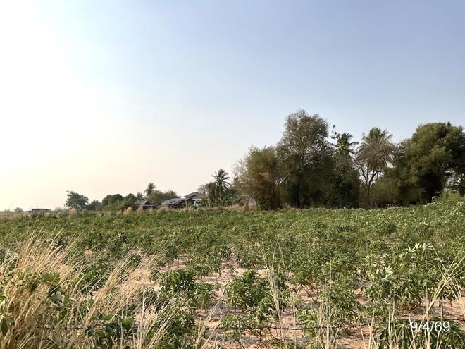 รูป ที่ดินว่างเปล่า 740 ตร.วา สามชัย กาฬสินธุ์ 717,000 - รูปที่ 6/15