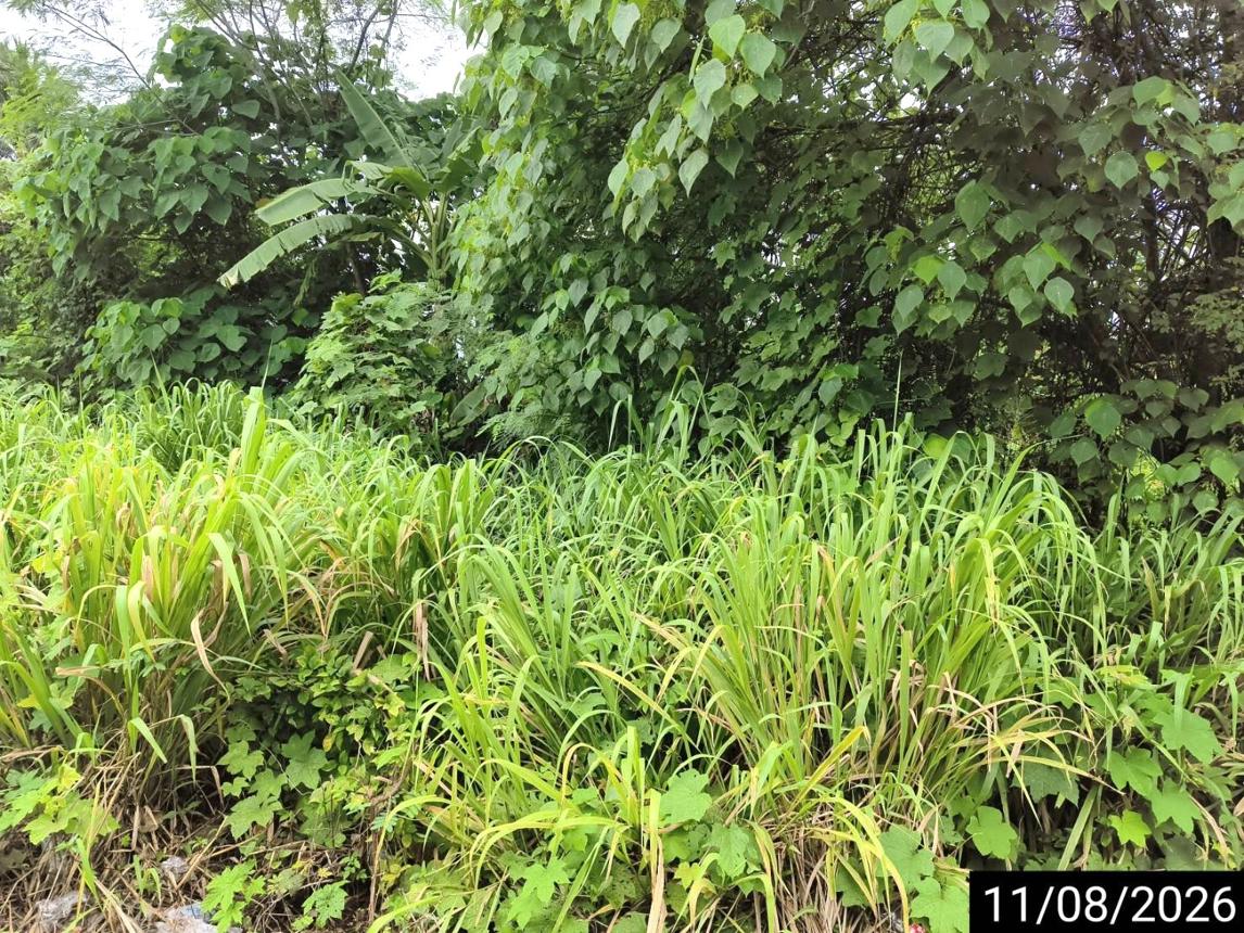 รูป ที่ดินว่างเปล่า 408.8 ตร.วา เมืองชุมพร ชุมพร 3.7M - รูปที่ 22/37