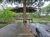 listing thumbnail image 24