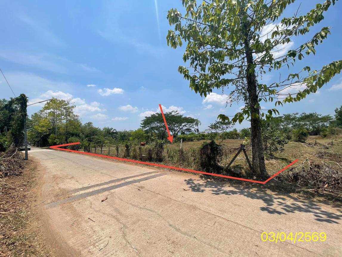 picture LAND 179.2 Sq.w. Kantrang Trang for 1.5M - 13/25