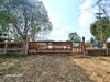 listing thumbnail image 19