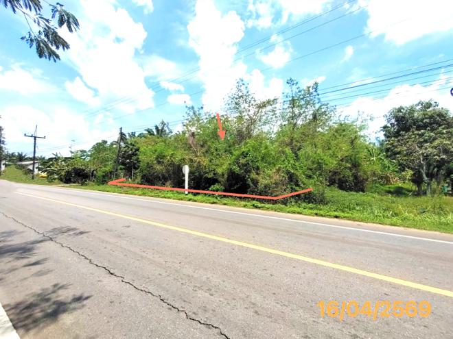 picture LAND 277.3 Sq.w. Lam Thap Krabi for 1.9M - 2/13
