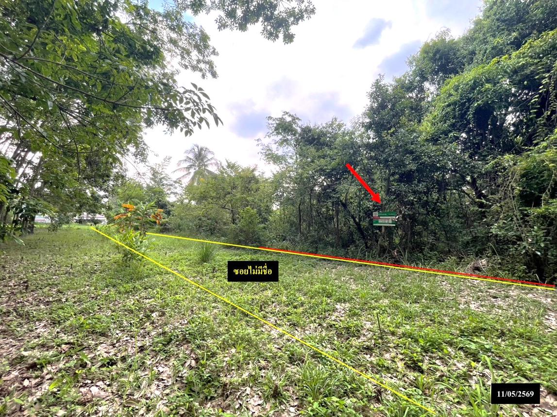 รูป ที่ดินว่างเปล่า 179 ตร.วา ส่องดาว สกลนคร 286,000 - รูปที่ 9/19