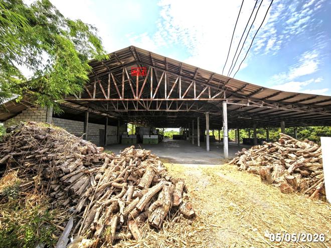 รูป เพิงอเนกประสงค์ 567 ตร.วา ดอยหล่อ เชียงใหม่ 2.3M - รูปที่ 11/33