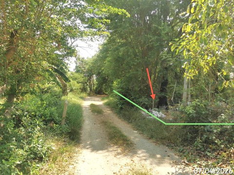 LAND 1603 Sq.w. Pa Mok Angthong for 1.7M