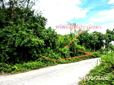 ที่ดิน นครศรีธรรมราช : ที่ดินว่างเปล่า 27 ตร.วา เมืองนครศรีธรรมราช นครศรีธรรมราช 810,000