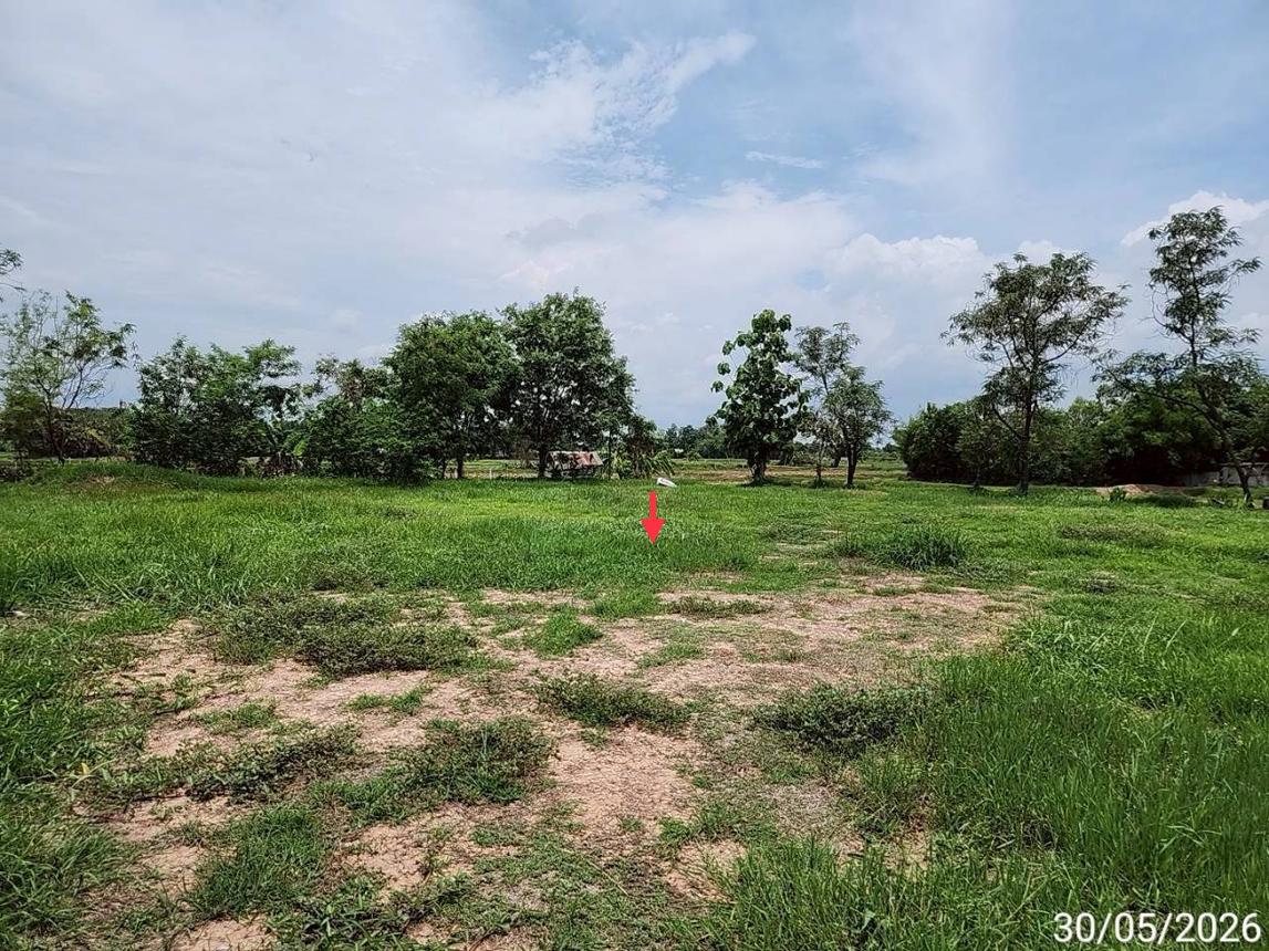 รูป ที่ดินว่างเปล่า 800 ตร.วา เชียงยืน มหาสารคาม 2.6M - รูปที่ 15/25