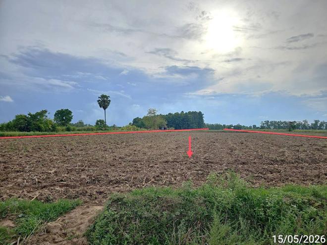 picture LAND 6305 Sq.w. Bang Krathum Phitsanulok for 1.9M - 6/15