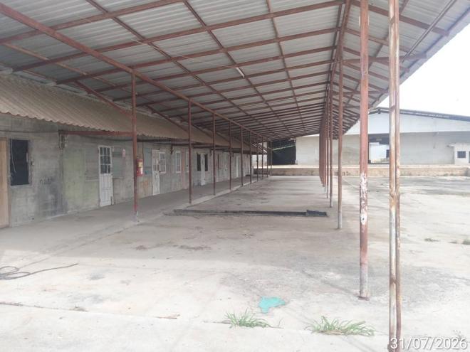 picture FACTORY 4553 Sq.w. Pak Chong Nakhon Ratchasima for 84.4M - 8/37