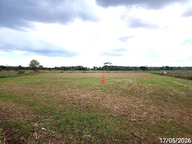 picture LAND 1522.1 Sq.w. Kosum Phisai Maha Sarakham for 419,000 - 11/25