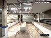 listing thumbnail image 25