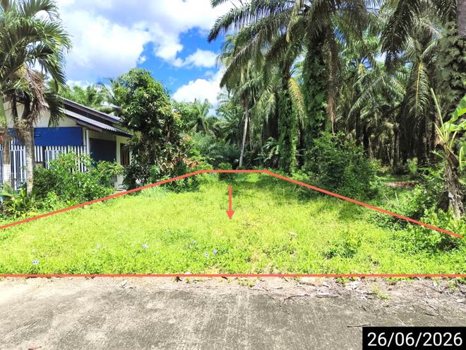 picture LAND 67 Sq.w. Chaiya Surat Thani for 359,000 - 2/15
