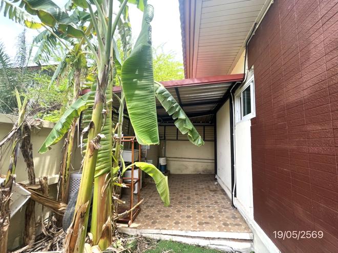 รูป บ้านเดี่ยว 100 ตร.วา วิจิตราธานี บางปะกง ฉะเชิงเทรา 7M - รูปที่ 19/45