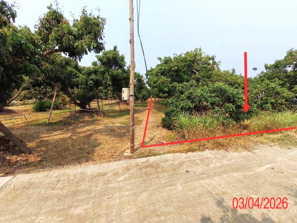 รูป ที่ดินว่างเปล่า 1038 ตร.วา เวียงหนองล่อง ลำพูน 1.2M - รูปที่ 10/17
