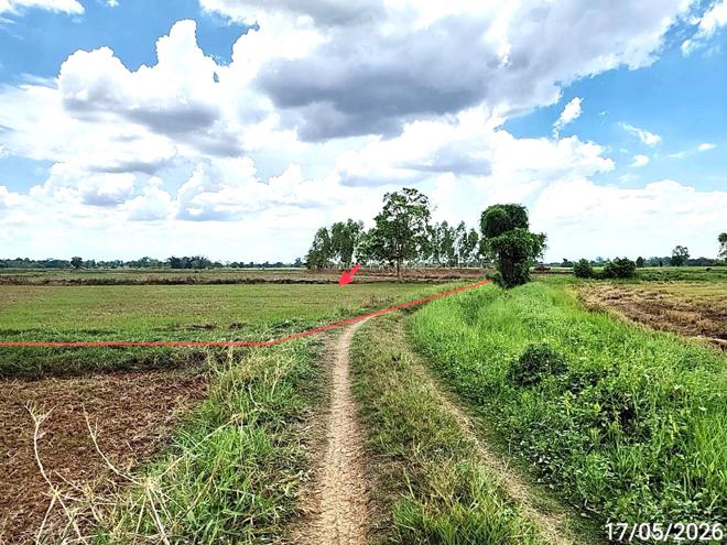 picture LAND 1522.1 Sq.w. Kosum Phisai Maha Sarakham for 419,000 - 5/25