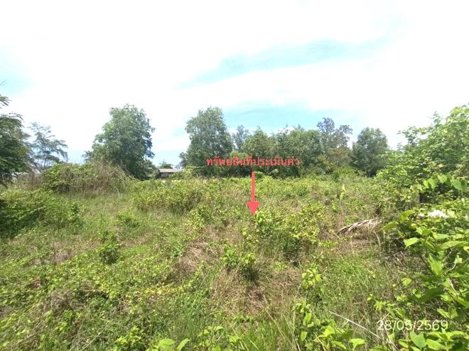 รูป ที่ดินว่างเปล่า 291.3 ตร.วา สทิงพระ สงขลา 826,000 - รูปที่ 7/25