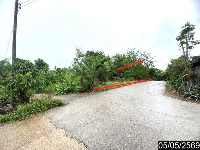 picture LAND 18631 Sq.w. Na Duang Loei for 5.5M - 5/17