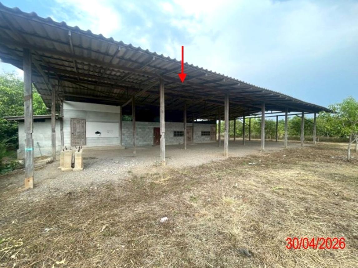 รูป โกดัง 1969.2 ตร.วา บ้านโฮ่ง ลำพูน 3.4M - รูปที่ 45/61