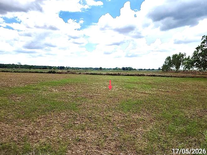 picture LAND 1522.1 Sq.w. Kosum Phisai Maha Sarakham for 419,000 - 7/25