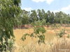 listing thumbnail image 33