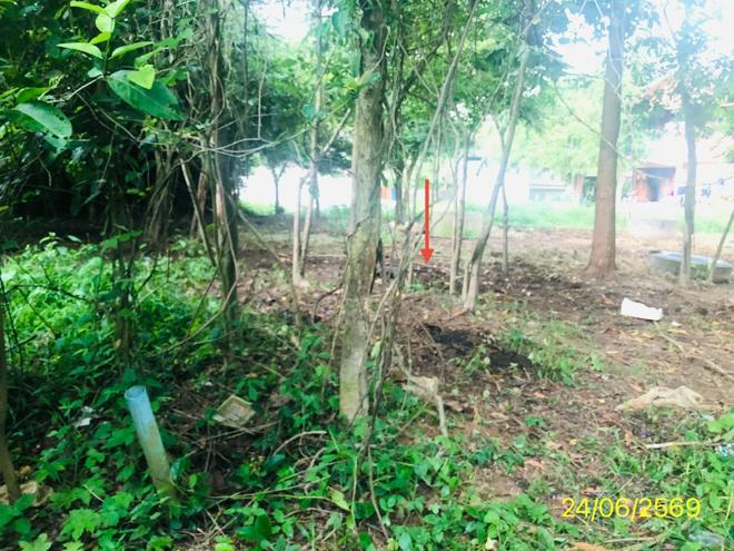picture LAND 99.8 Sq.w. Hat Yai Songkhla for 569,000 - 6/21