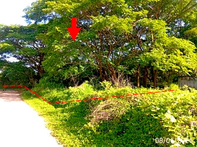 ที่ดิน พิพิธภัณฑ์เมืองอุดรธานี : ที่ดินว่างเปล่า 1862.1 ตร.วา เมืองอุดรธานี อุดรธานี 13.4M