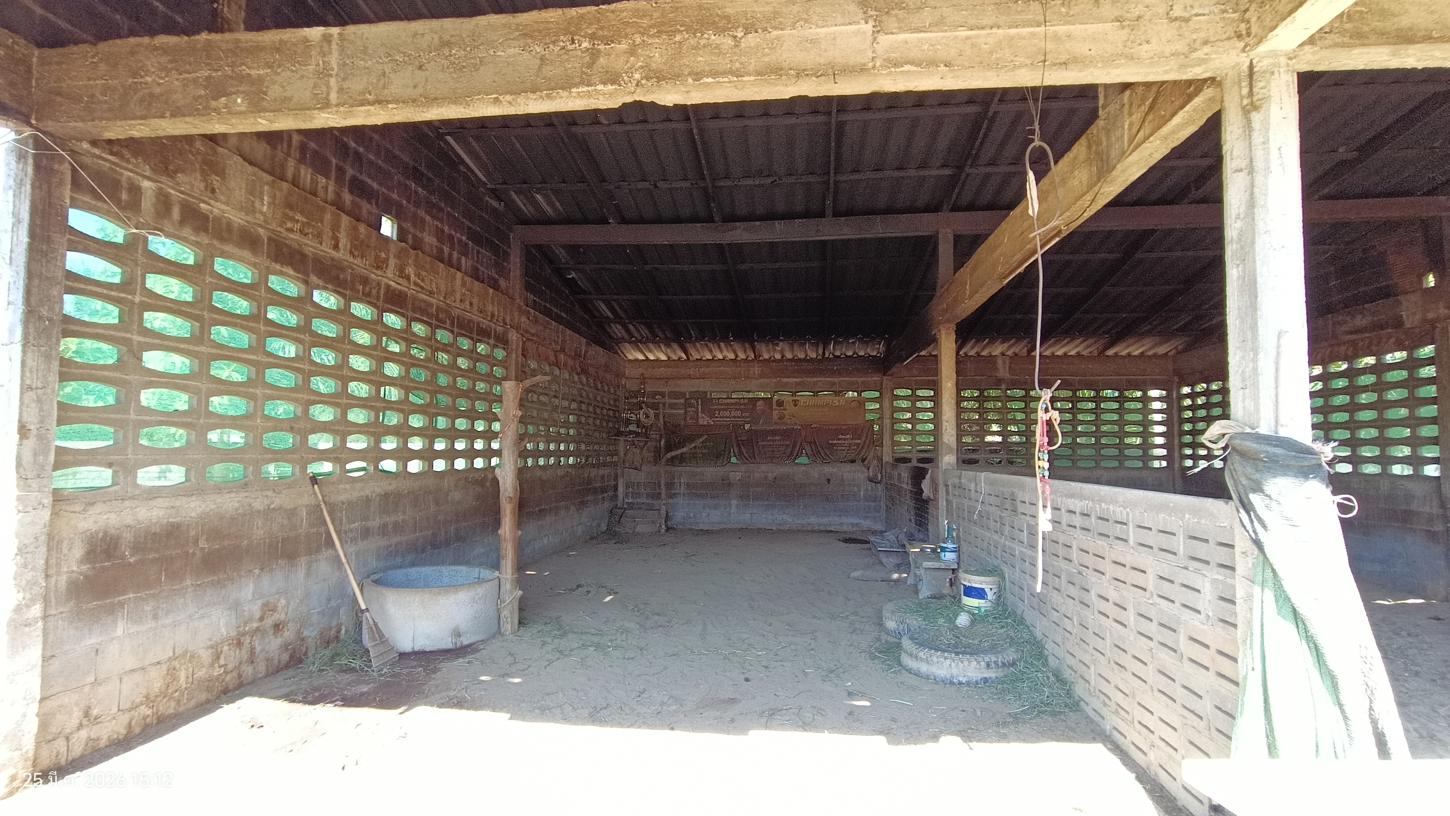 รูป โกดัง 5743 ตร.วา ปะเหลียน ตรัง 7.4M - รูปที่ 14/25