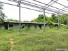 listing thumbnail image 49