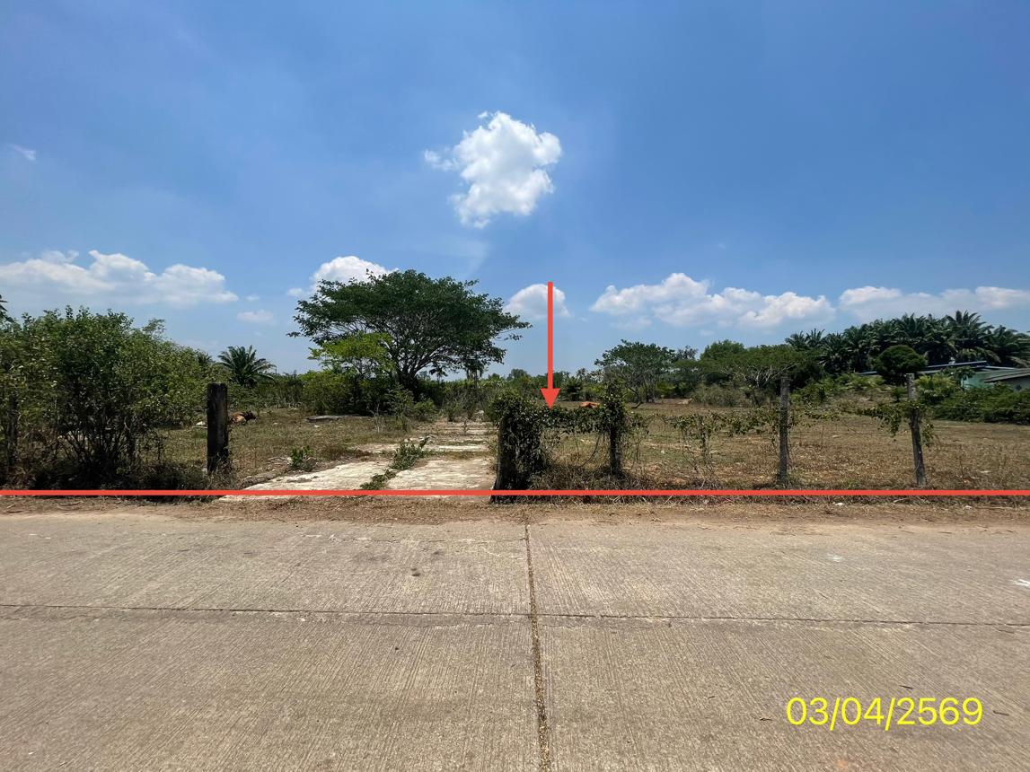 picture LAND 179.2 Sq.w. Kantrang Trang for 1.5M - 14/25