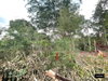 listing thumbnail image 10
