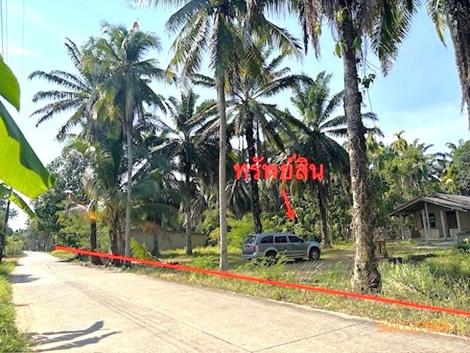 picture HOME 4176 Sq.w. Prasaeng Surat Thani for 3.7M - 26/55