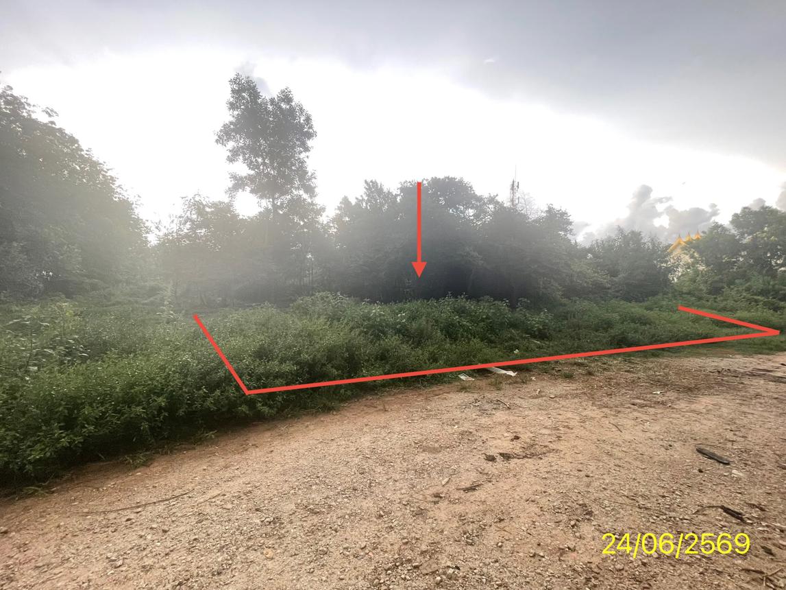 picture LAND 99.8 Sq.w. Hat Yai Songkhla for 569,000 - 11/21