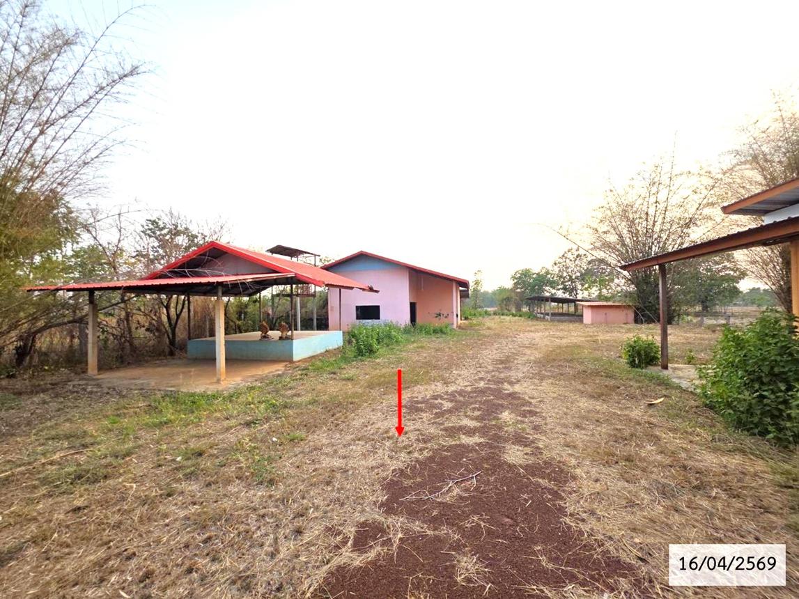 รูป บ้านเดี่ยว 800 ตร.วา สว่างแดนดิน สกลนคร 2.1M - รูปที่ 34/39
