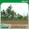 listing thumbnail image 10