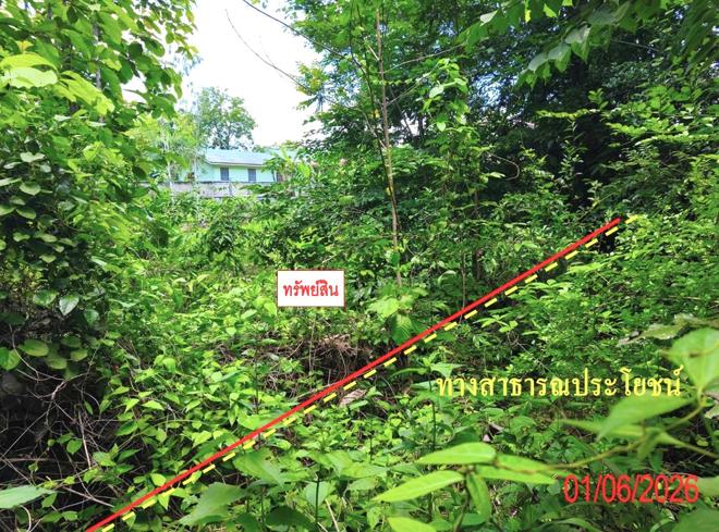รูป ที่ดินว่างเปล่า 225 ตร.วา เถิน ลำปาง 199,000 - รูปที่ 2/15