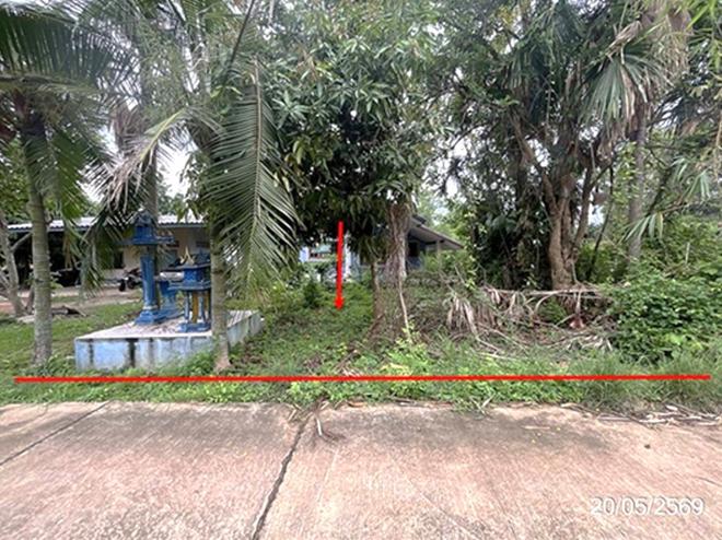 picture HOME 100 Sq.w. Plaeng Yao Chachoengsao for 1.1M - 2/29