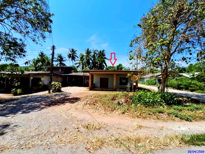บ้านเดี่ยว ตรัง : บ้านเดี่ยว 78 ตร.วา รัษฎา ตรัง 1.4M